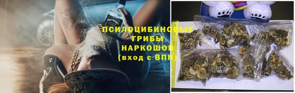 PSILOCYBIN Липки