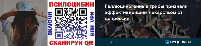 Галлюциногенные грибы мухоморы  ОМГ ОМГ как зайти  Южно-Сахалинск  купить  цена 