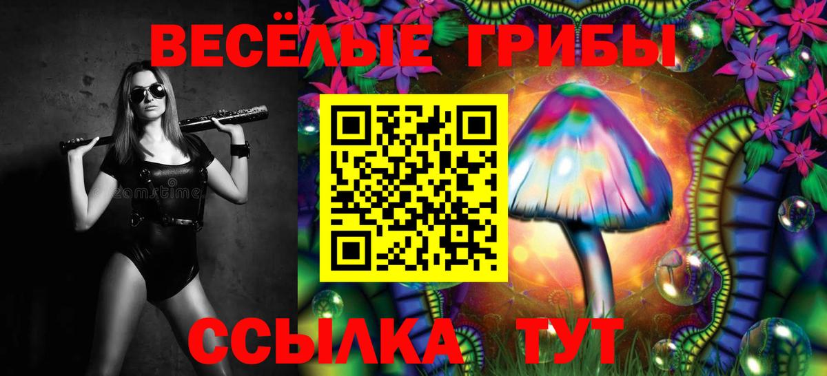 Галлюциногенные грибы Magic Shrooms  Вход с VPN  Южно-Сахалинск  цены наркотик  Галлюциногенные грибы GOLDEN TEACHER 